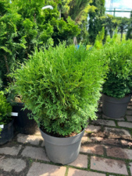 2A3FF2AD-BE91-4B3F-860F-018BB76F